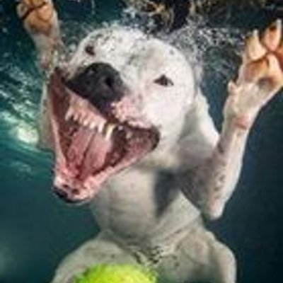 Profile Picture of Jonathan Viveros Fab (@FabViveros) on Twitter