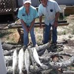 Profile Picture of Jane McClure West (@travelholic38) on Instagram