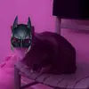 Profile Picture of Johanna (@_johanna.andersson_16) on Tiktok