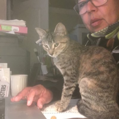 Profile Picture of Velia Chavez (@Veliachavez4) on Twitter