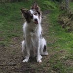 Profile Picture of Barry Bridger (@barrybridger717) on Instagram