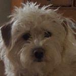 Profile Picture of travis hedrick (@hedrick6280) on Instagram