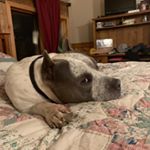 Profile Picture of Cole Tuttle (@liltuttle612) on Instagram