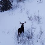 Profile Picture of Jason Brousseau (@jasbrousseau) on Instagram