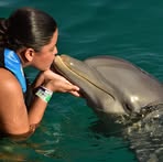 Profile Picture of Darlene Jacobucci (@DarleneJacobucci) on Facebook