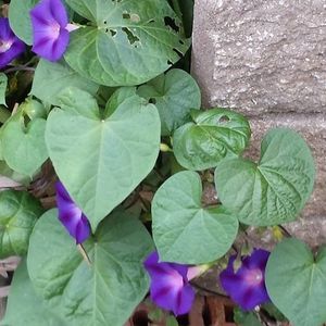 Profile Picture of Aprillee (@robertsaprillee) on Myspace