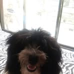 Profile Picture of James Bhanushali (@james.bhanushali) on Facebook