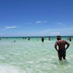 Profile Picture of Rashad Holmes (@capecodrashad) on Instagram