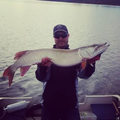 Profile Picture of Chris Stover (@stovatola) on Twitter