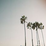 Profile Picture of GRACE (@grace.champney) on Instagram