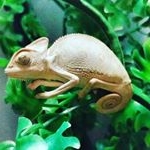 Profile Picture of Martin Grover (@martin_grover) on Instagram