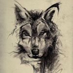 Profile Picture of Cody Neumann (@codster115) on Instagram