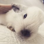 Profile Picture of Harry Hopper (@mr.harryhopper) on Instagram