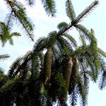 Profile Picture of marcelle scott (@scott1384cn) on Instagram