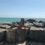 Profile Picture of Jocelyn Sonntag (@jocelynsonntag) on Instagram