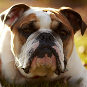 Kirsten Bates - Youtube Profile Picture of Kirsten Bates (@divinedoll99) on Youtube