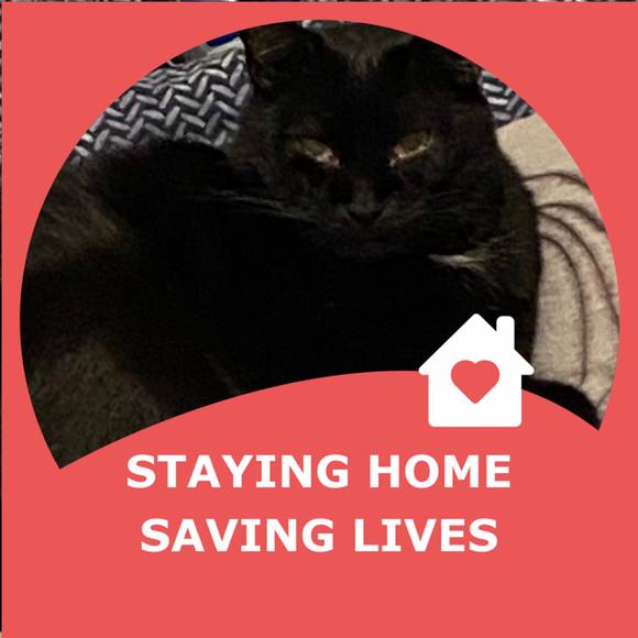 Profile Picture of Becca Sheline (@rasheline) on Poshmark