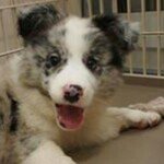 Keith Kwan - Instagram Profile Picture of Keith Kwan (@kwankeith) on Instagram