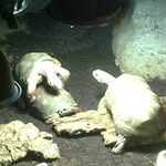 Profile Picture of Conner Coleman (@connercoleman) on Instagram