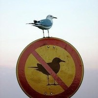 Profile Picture of Rena Bell (@rena-bell-5) on Quora