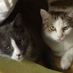 Richard Plyler - Instagram Profile Picture of Richard Plyler (@rhplyler) on Instagram