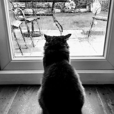 Profile Picture of Craig Kendrick (@craigkendrick) on Twitter