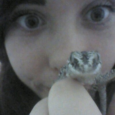 Profile Picture of Chloe Jarvis (@chloejarvis94) on Twitter