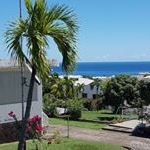 Profile Picture of Michael Volff (@michaelvolff) on Instagram