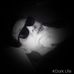 Profile Picture of Mark John Enomo (@jhonmark.adoran) on Facebook