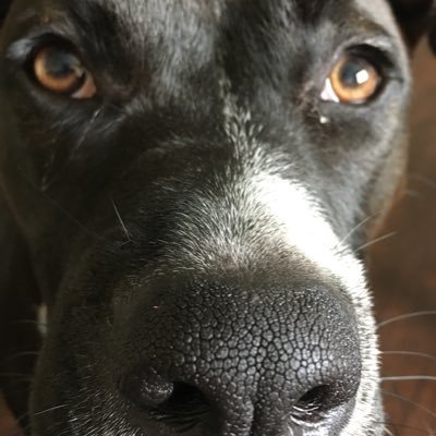 Profile Picture of Ronald Thompson 🇺🇸 (@tuffyt28) on Twitter