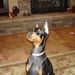 Profile Picture of John Solomito (@johnsolomito) on Pinterest