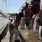 Profile Picture of Christopher Cantu (@christopher.cantu.361380) on Facebook