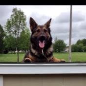 Profile Picture of Rick T. Jackson (@jacquesee19) on Youtube