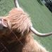 Profile Picture of Richard Leith (@richard.leith.37) on Facebook