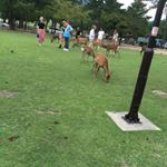 Profile Picture of David Weaver (@thealphaweaver) on Instagram