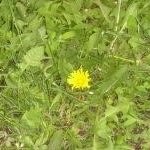 Profile Picture of Clarissa (@clarissariggins) on Instagram