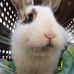 Profile Picture of Avery Schoenherr (@avery.schoenherr.92) on Facebook