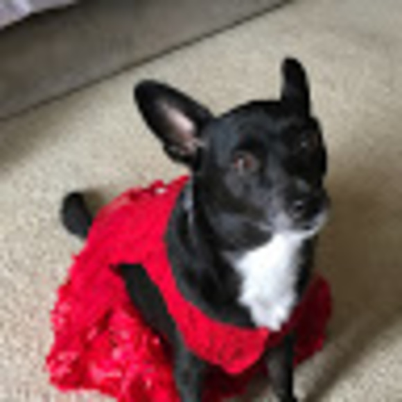 Profile Picture of Luckypepper Ichimasa (@luckypepperi) on Poshmark