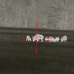 Profile Picture of Blake Henley (@ms_thermaloutdoors) on Instagram