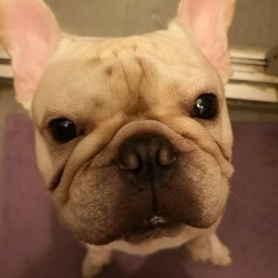 Profile Picture of Ruby Cheung (@RubyCheung19) on Twitter