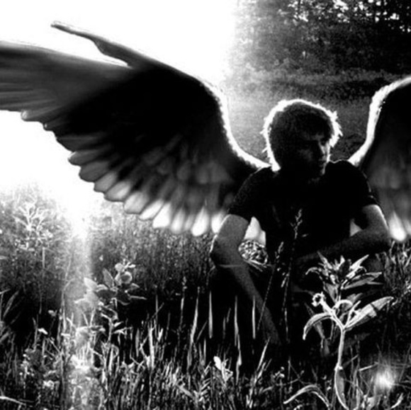 Profile Picture of Carlos Sánches (@chekoarreola23) on Poshmark