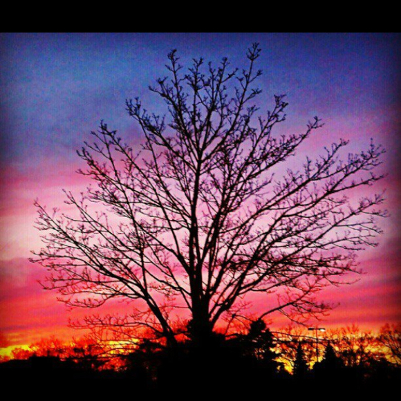 Profile Picture of Amanda Donahoe (@donah1al) on Poshmark