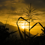 Profile Picture of Kumud Parajuli (@parajuli_kumod) on Flickr