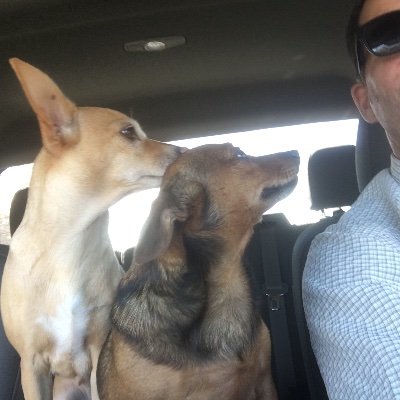 Profile Picture of Chris Buckley (@ChrisBu73906152) on Twitter