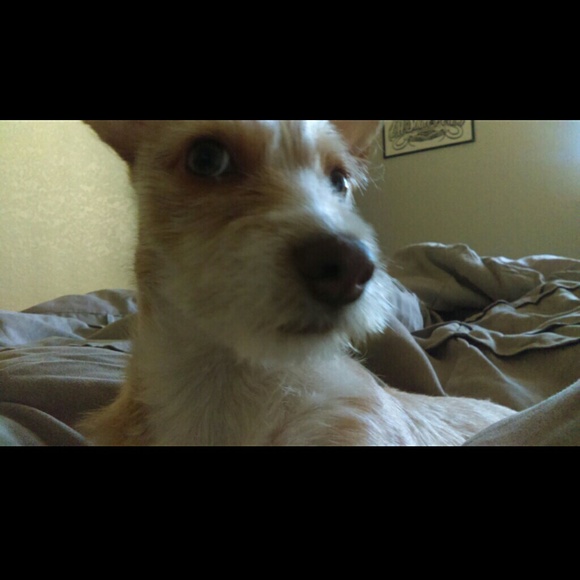 Profile Picture of Zitlaly Decoudreaux (@declaly) on Poshmark