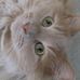 Profile Picture of Nicholas Belcher (@nicholas.belcher.182) on Facebook