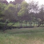 Profile Picture of jason flyer (@autobotfly66) on Instagram