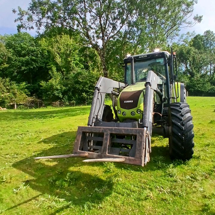 Profile Picture of Patrick Walsh_363 (@patrick.walsh_363) on Tiktok