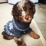 Profile Picture of Minnie Mayes-Hayes (@minniemayeshayes) on Instagram