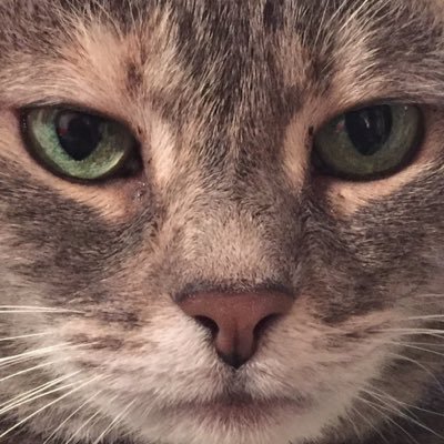 Profile Picture of Corrin Pumphrey (@chunkyimages) on Twitter